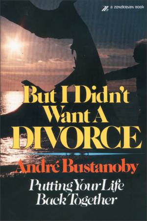 But I Didn’t Want a Divorce